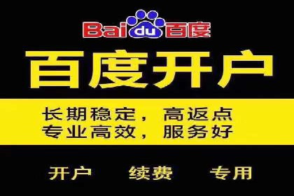 SEM专员实战案例解析